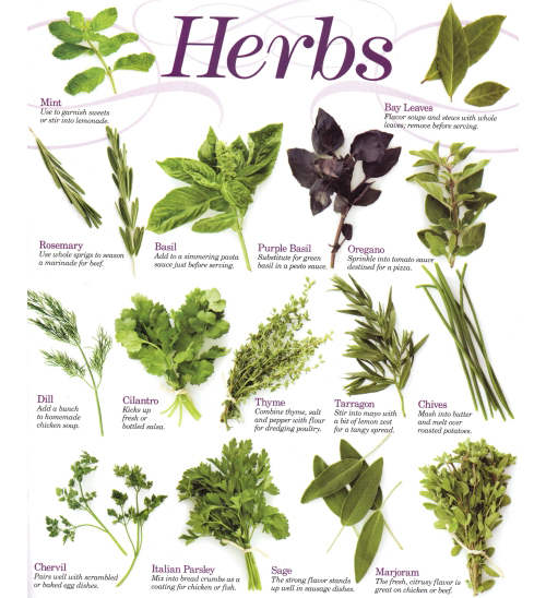 Product picture Herbs, Herbal Medicine, Cures Garden Complete 43 Book Series